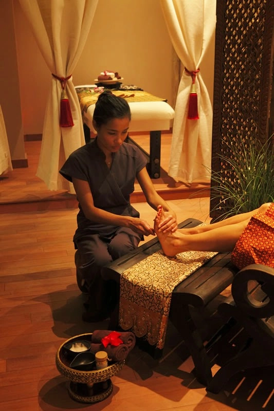 Spa Arbre à Sens Paris